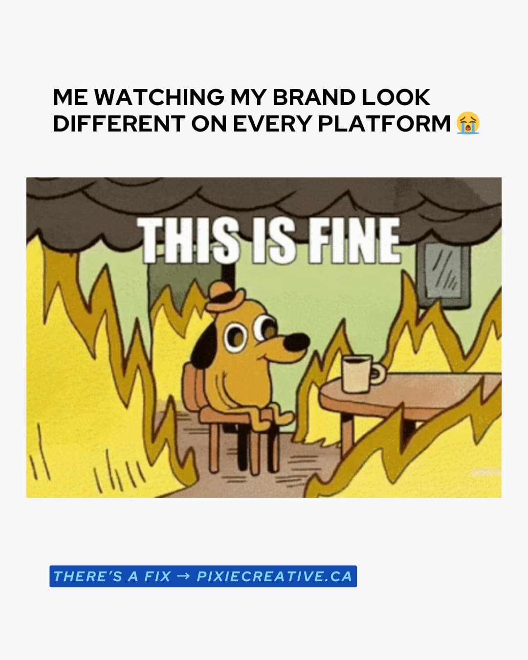 Instagram highlight 6